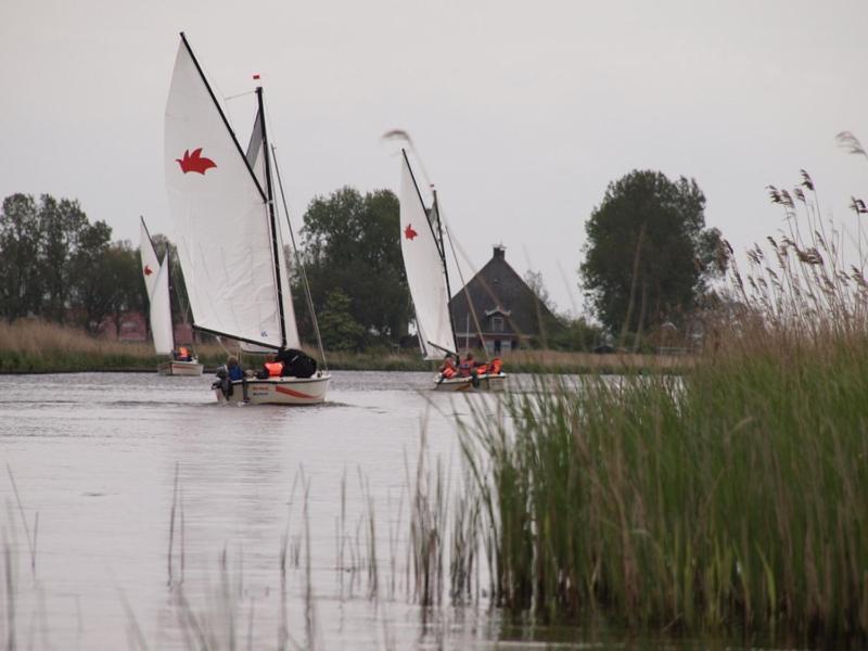 De Hoop *